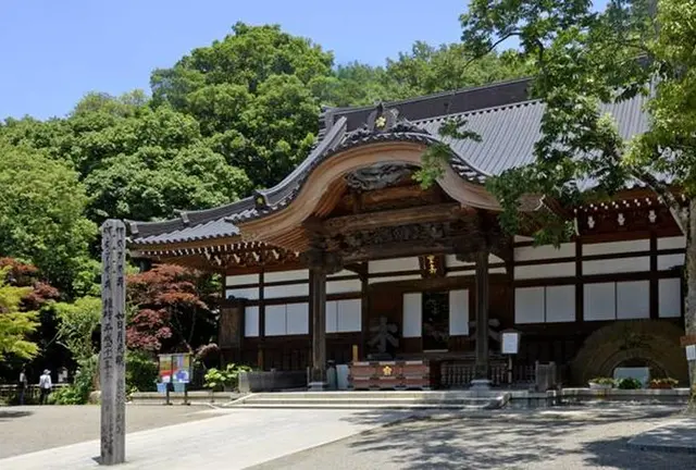 緑溢れる深大寺で大人の癒し散歩。鬼太郎茶屋や深大寺そばなどグルメスポットも！