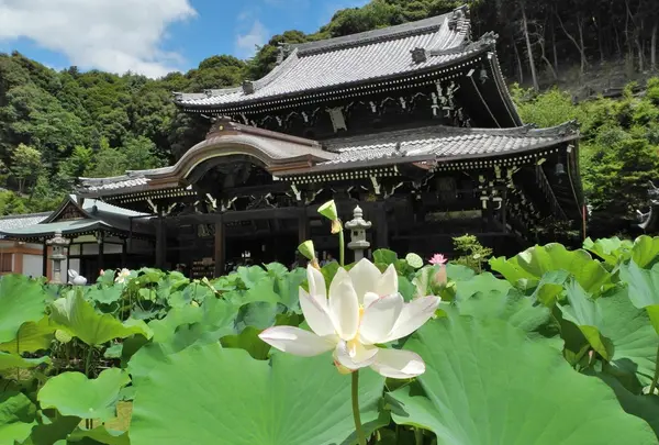 三室戸寺