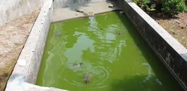 塩谷鹽竈神社の写真・動画_image_240064