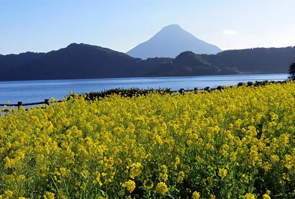 池田湖