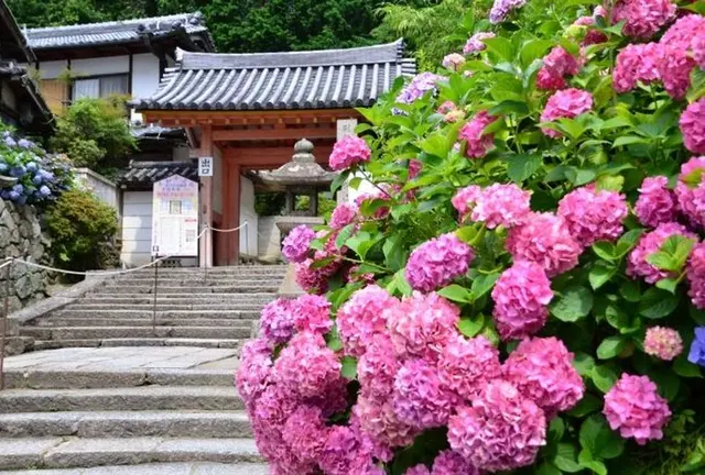 【奈良　矢田寺】御朱印と花と手拭いと