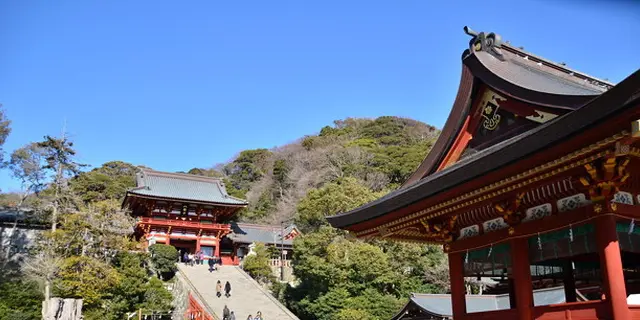 【電車で行ける！】鎌倉・湘南お出かけ決定版