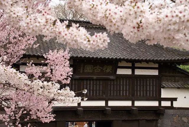 女子旅!!～桜舞う信州へ～