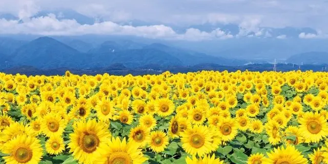 南関東の絶景
