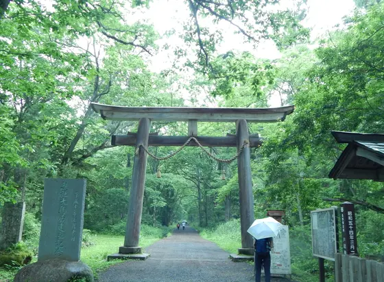 小雨が降る中しっとりと参拝