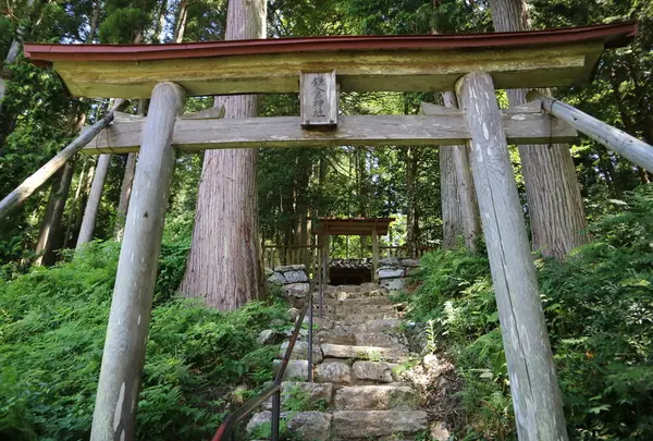鎌倉神社の写真・動画_image_435221