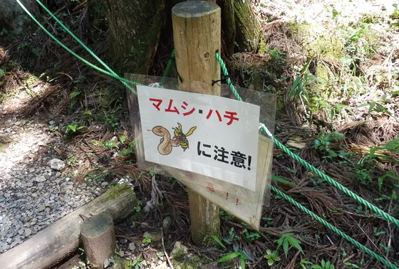 ギクッ…！マムシに注意…！