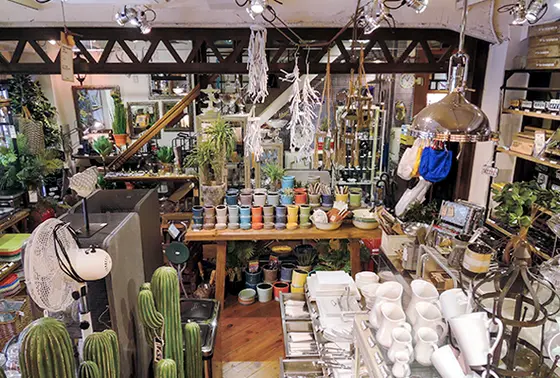 スポット内のおすすめ