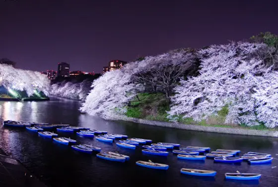 夜間ライトアップ