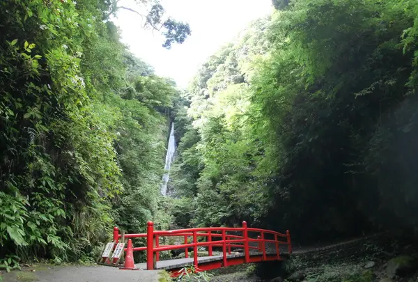 洒水の滝の写真・動画_image_192673