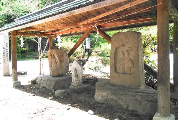 穂高神社の写真・動画_image_285954