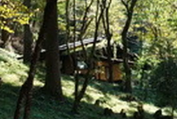 戸無しのそば屋