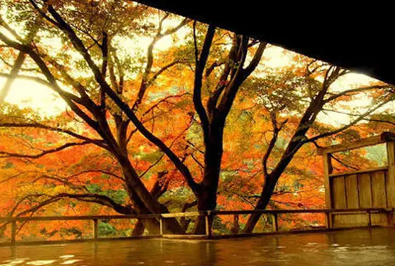 絶景露天風呂