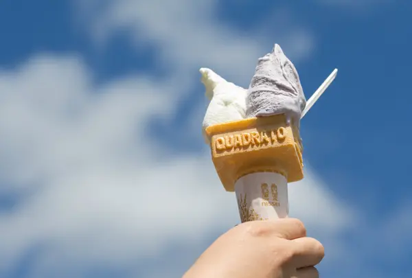 道の駅 美山ふれあい広場の写真・動画_image_509563