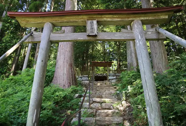 鎌倉神社の写真・動画_image_407686