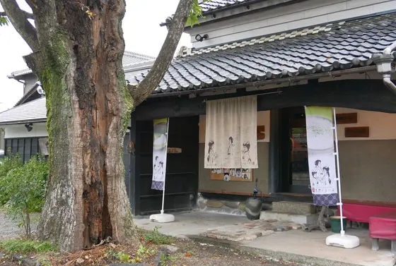 店名の由来は木の名前