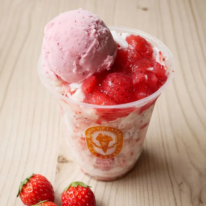 チョコミン党必見！マリオジェラテリア3店舗で夏限定「チョコミント