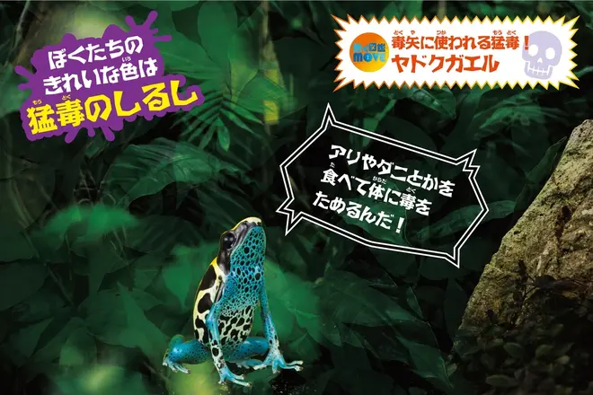 展示水槽イメージ