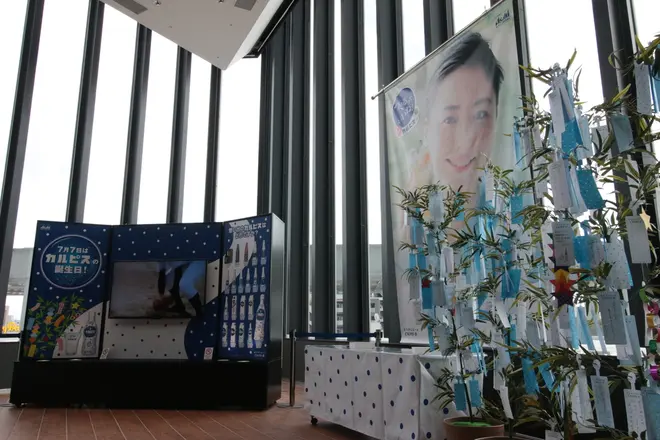 笹飾りの展示(昨年の様子)©️TOKYO-SKYTREE