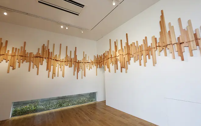 Solo Exhibition 