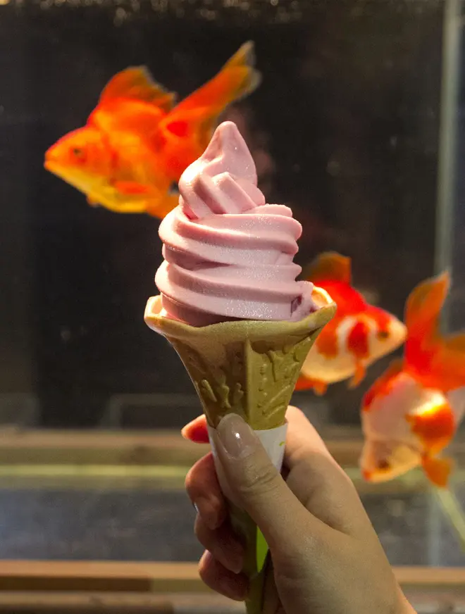「金魚ソフトクリーム」