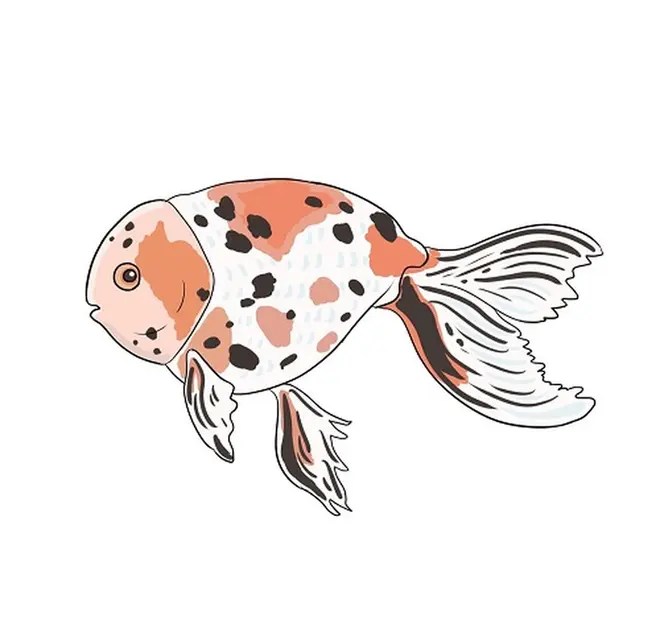 ぬまがさワタリ氏の描き下ろしイラスト
