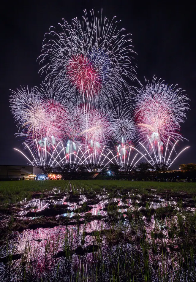 最優秀賞「夜空彩る秋の花」©土浦全国花火競技大会実行委員会