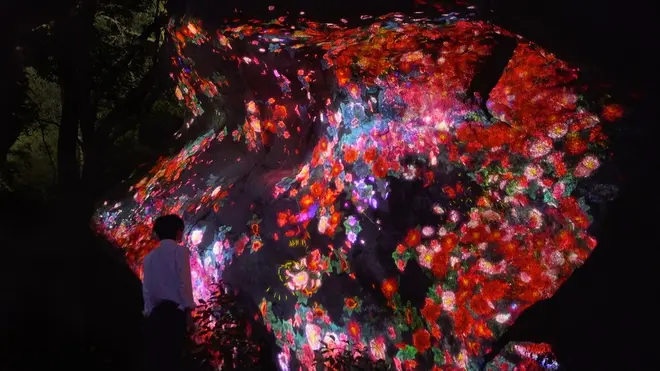 増殖する生命の巨石: https://www.teamlab.art/jp/w/ever-blossoming-stone-life-rock    
