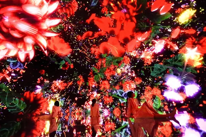 Floating in the Falling Universe of Flowers teamLab, 2016-2018, Interactive Digital Installation, Endless, Sound: Hideaki Takahashi