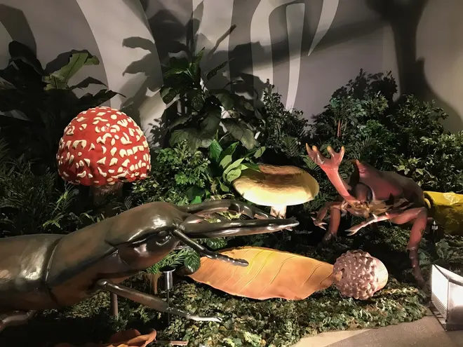  巨大昆虫フォトコーナー