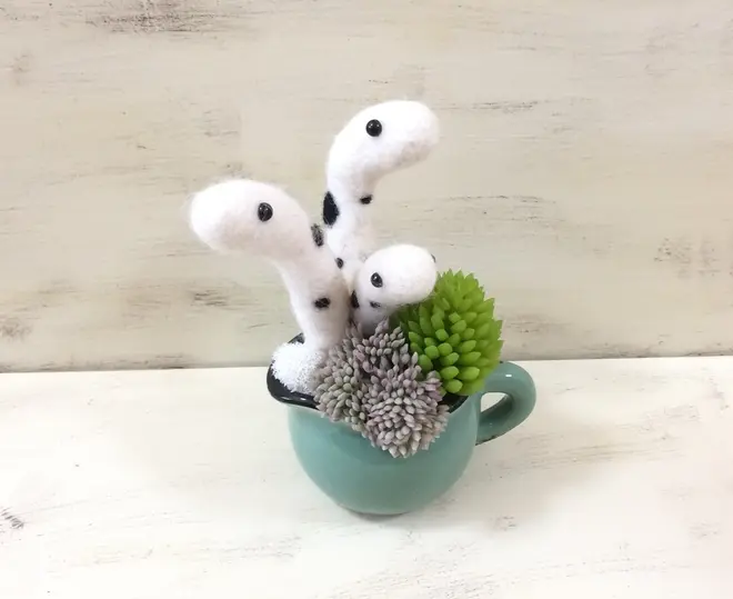 「アンジェリケ」　チンアナゴの寄せ植え