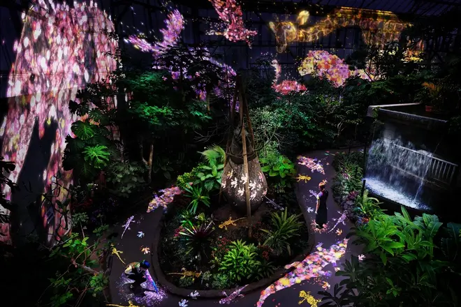 世界を旅する植物に住まう、花と共に生きる動物たち teamLab, 2018, Digital Installation