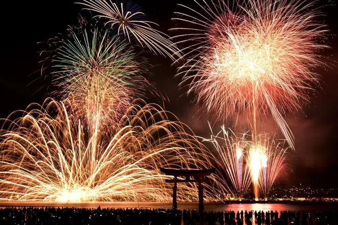 撮影:新谷 孝一