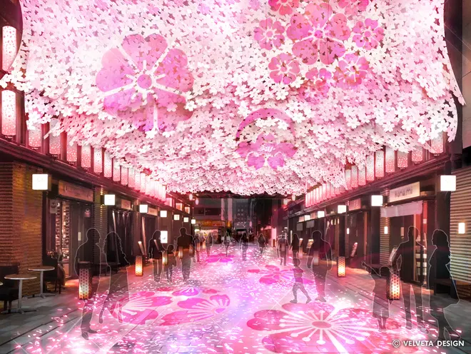 SAKURA TUNNEL