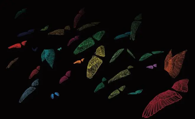 「鳥の交差点―多摩川」by 小原 典子