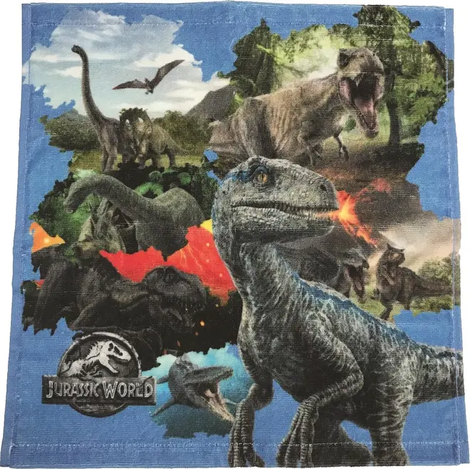 ハンドタオル 972円