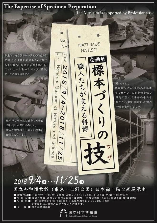 企画展「標本づくりの技」チラシ表面 画像提供：国立科学博物館