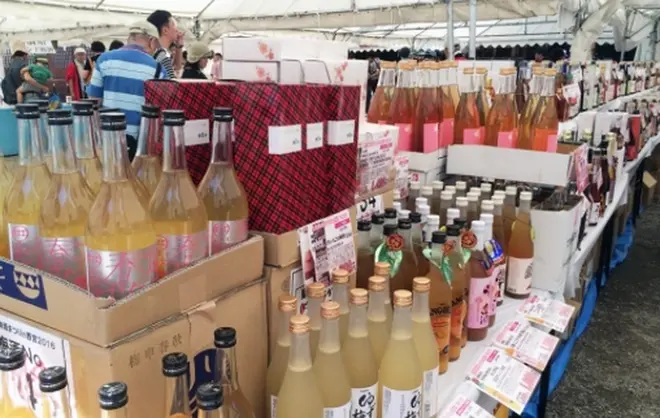 お気に入りの梅酒が購入できる「梅酒即売会」も同時開催！※人気梅酒は売り切れになる場合もある。