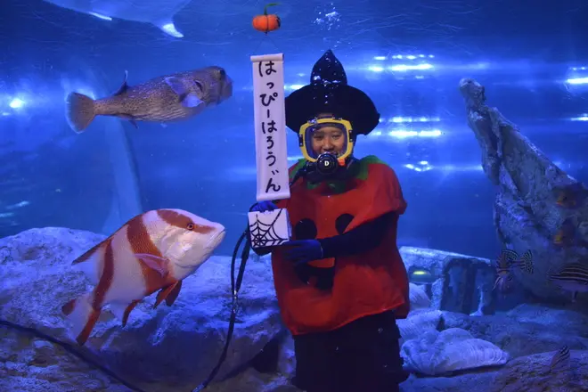 ハロウィン水中ショー