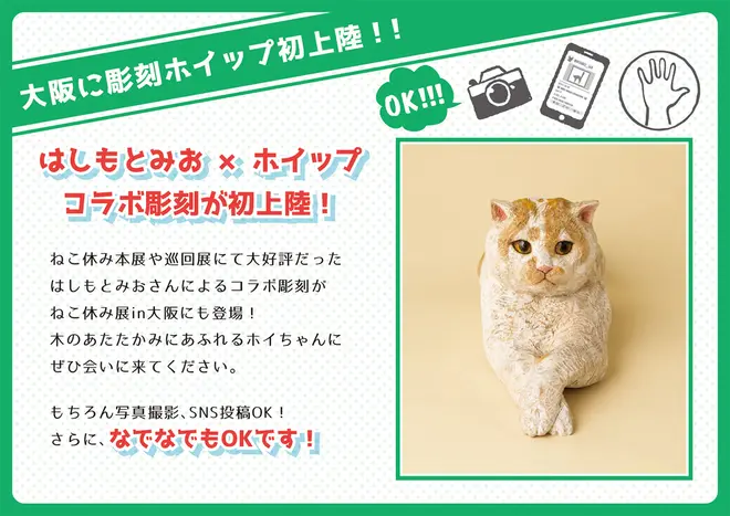 はしもとみお ✕ ホイップ