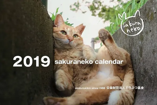 さくらねこが大集合A4サイズ