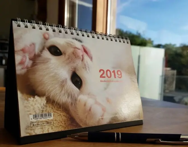 かわいすぎる猫大集合！卓上カレンダー