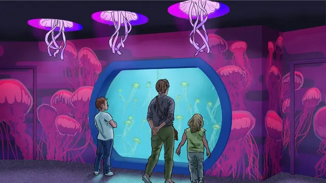 クラゲの海