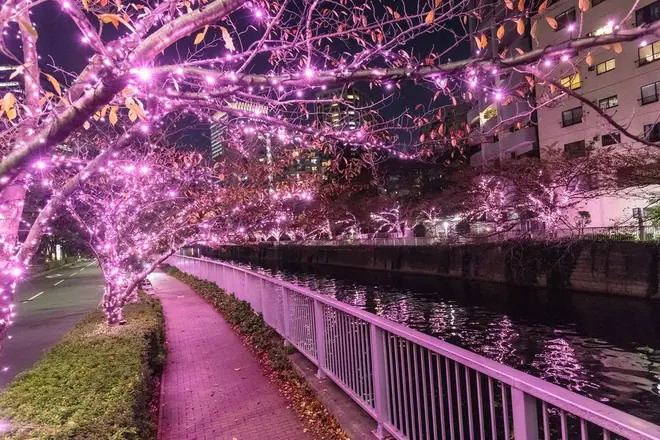 ※過去実施風景写真