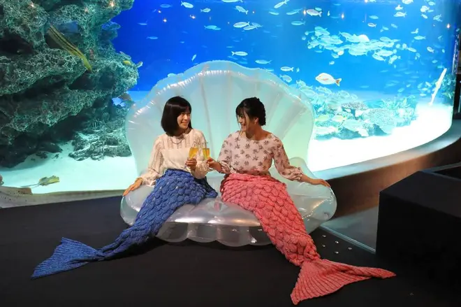 フォトスポット