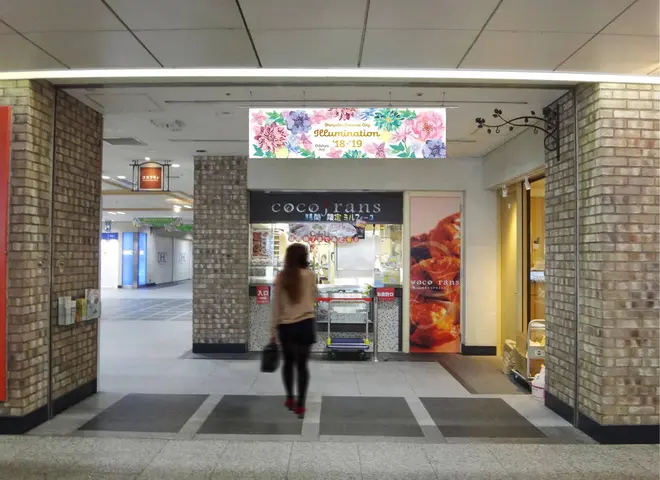 小田急エース（イメージ）