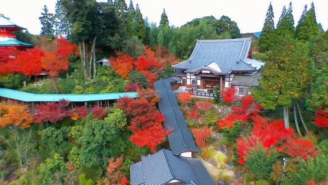 高野寺　雨でも屋根付きの回廊から紅葉が楽しめる