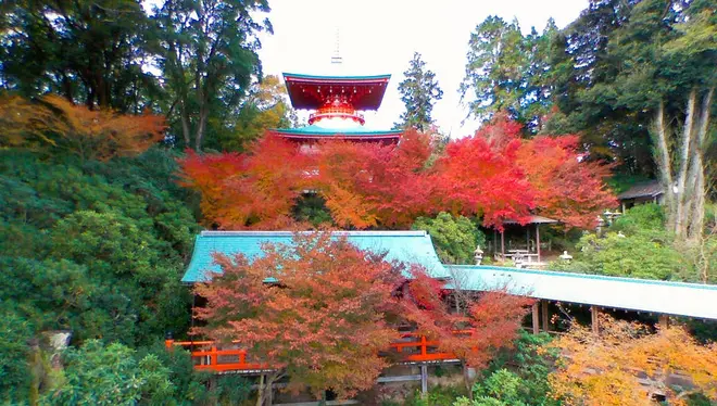 高野寺　紅葉まつり