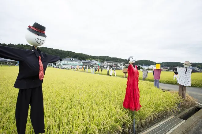 水田と案山子（アップ）