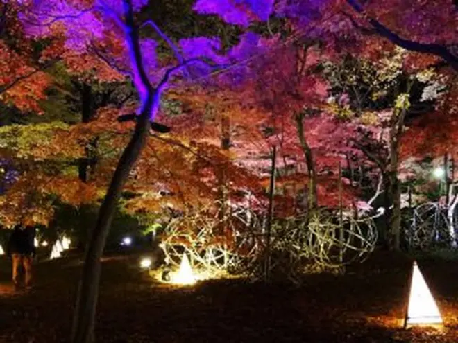 カエデの紅葉と草月流インスタレーション作品
